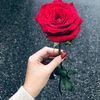 hamdh07