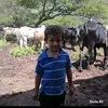 jostinsanchez0