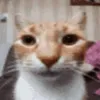 juan_portuevos