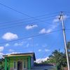 apamautabossku11