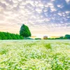 ilovenature992