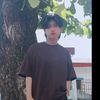 _alinn08