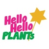 Hello Hello Plants Nursery