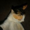 martinus_martin551