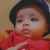 alirehman610