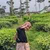 yayas504