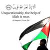 free_palestinesuriah