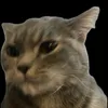 xoniclappedu