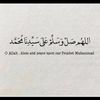 hasnaali20