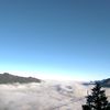 rexwang0102