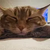 narimene_fifi