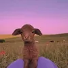 happitot_