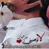 user03441672
