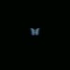 evelyn_147_