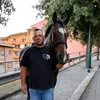 vincenzomaggiore2