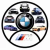 bmwforlive06