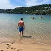 Bradsspamacc