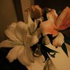 xxufound.me