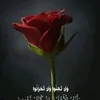 user191786361