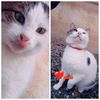 qayibovafer_080