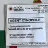 agent_cyno