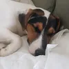 12charlie_charlie34