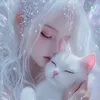 user488179276
