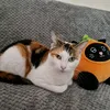 sylwiakiki