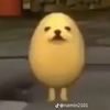 leonalonso14