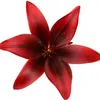 fuchsiafries