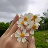user902991209