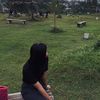 hilda.yy