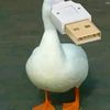 mrprindapan2