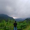 abangroyy27