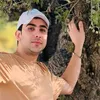 mo_ze1996