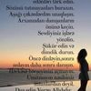 user_3738281647828