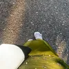 shecantbeanymore