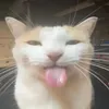 n_geri__