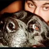_matteopappalardo1996_