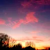 the_w0nders_0f_nature