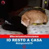 simonettichiara