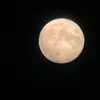 nonsochisono2._