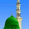 raziaarshad3