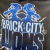 brickcitylions_den