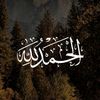 debn777