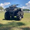 tucker_colt0