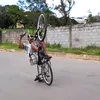 patetamilgrau2