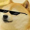 lorenssui