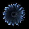 kryzz._0