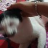 xyzcaa08_